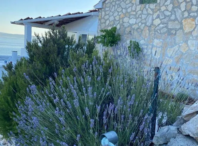 Alleinstehendes Haus Am Robinson Сasa de vacaciones
