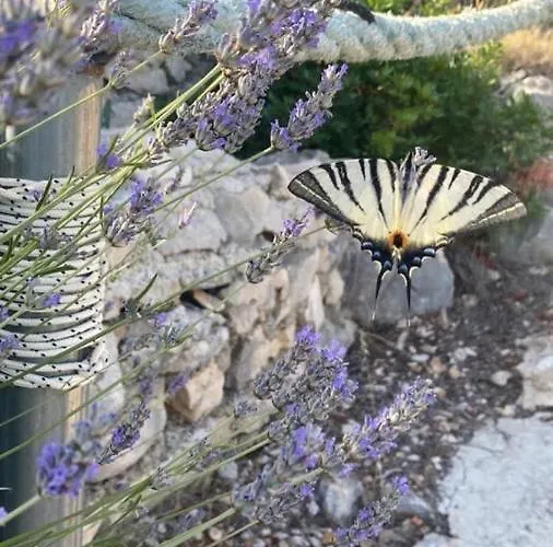 بيت للعطل Alleinstehendes Haus Am Robinson *